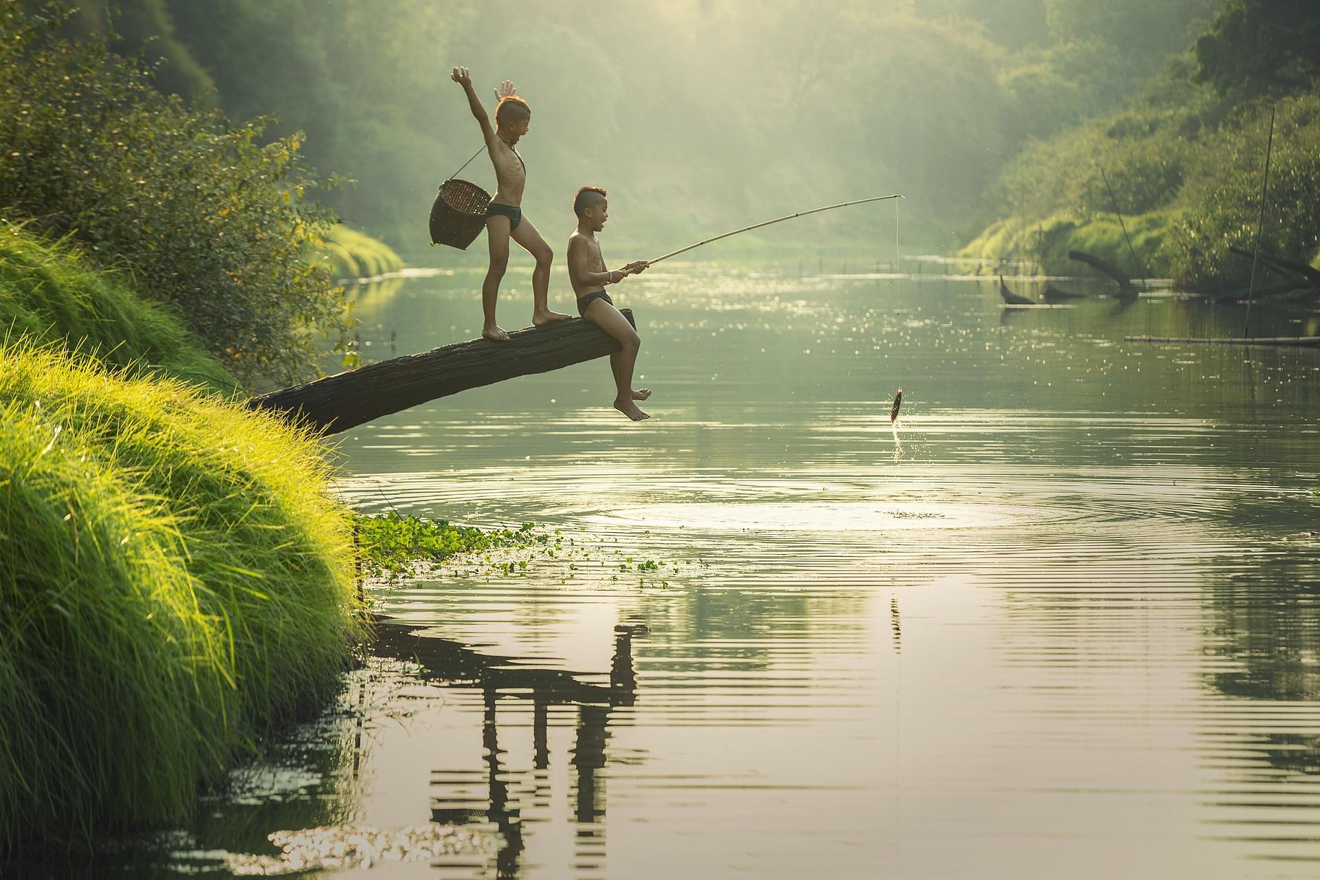 Pemandangan Desa 5