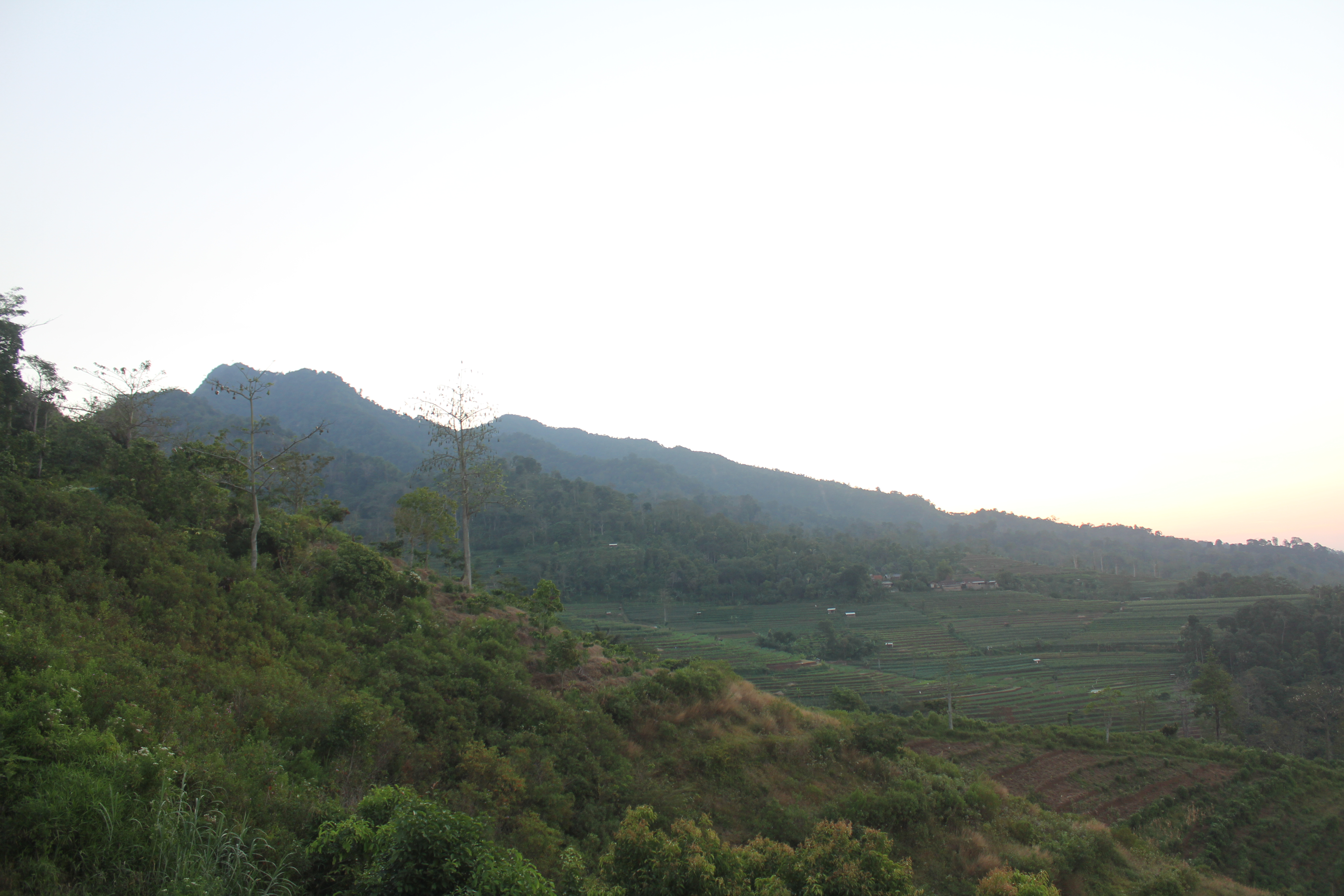 Pemandangan lahan pertanian