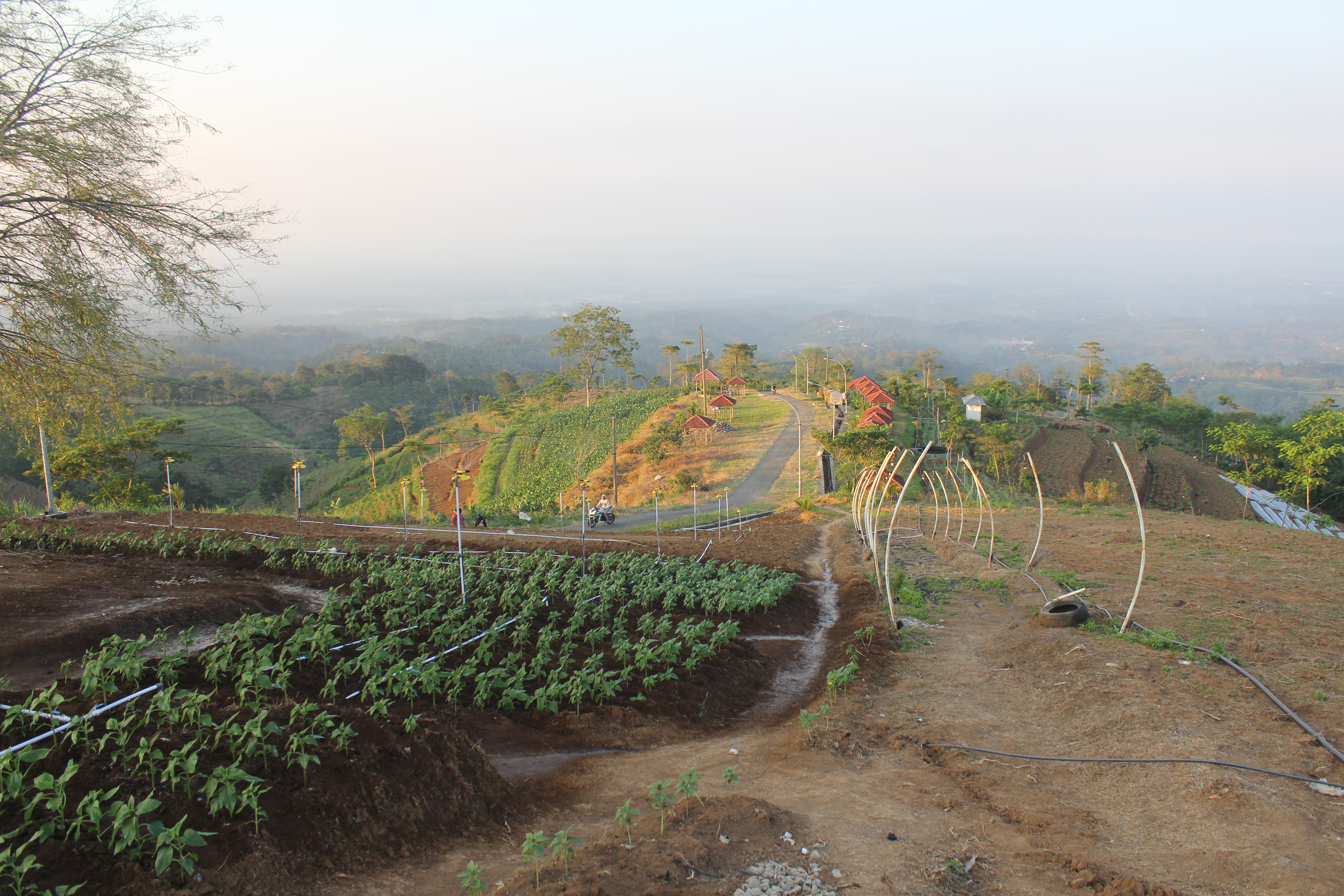 Wisata Alam