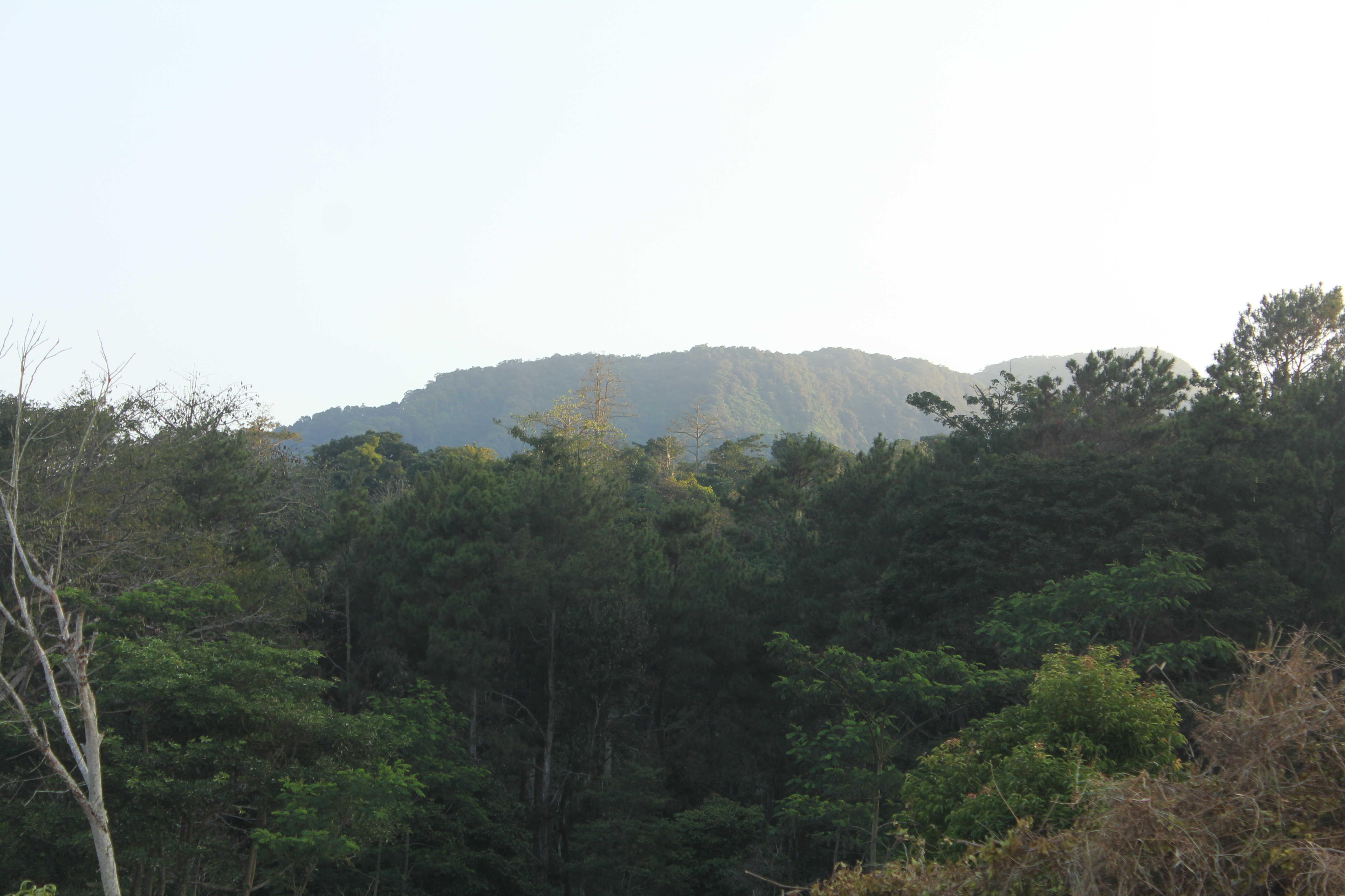 Kondisi lahan