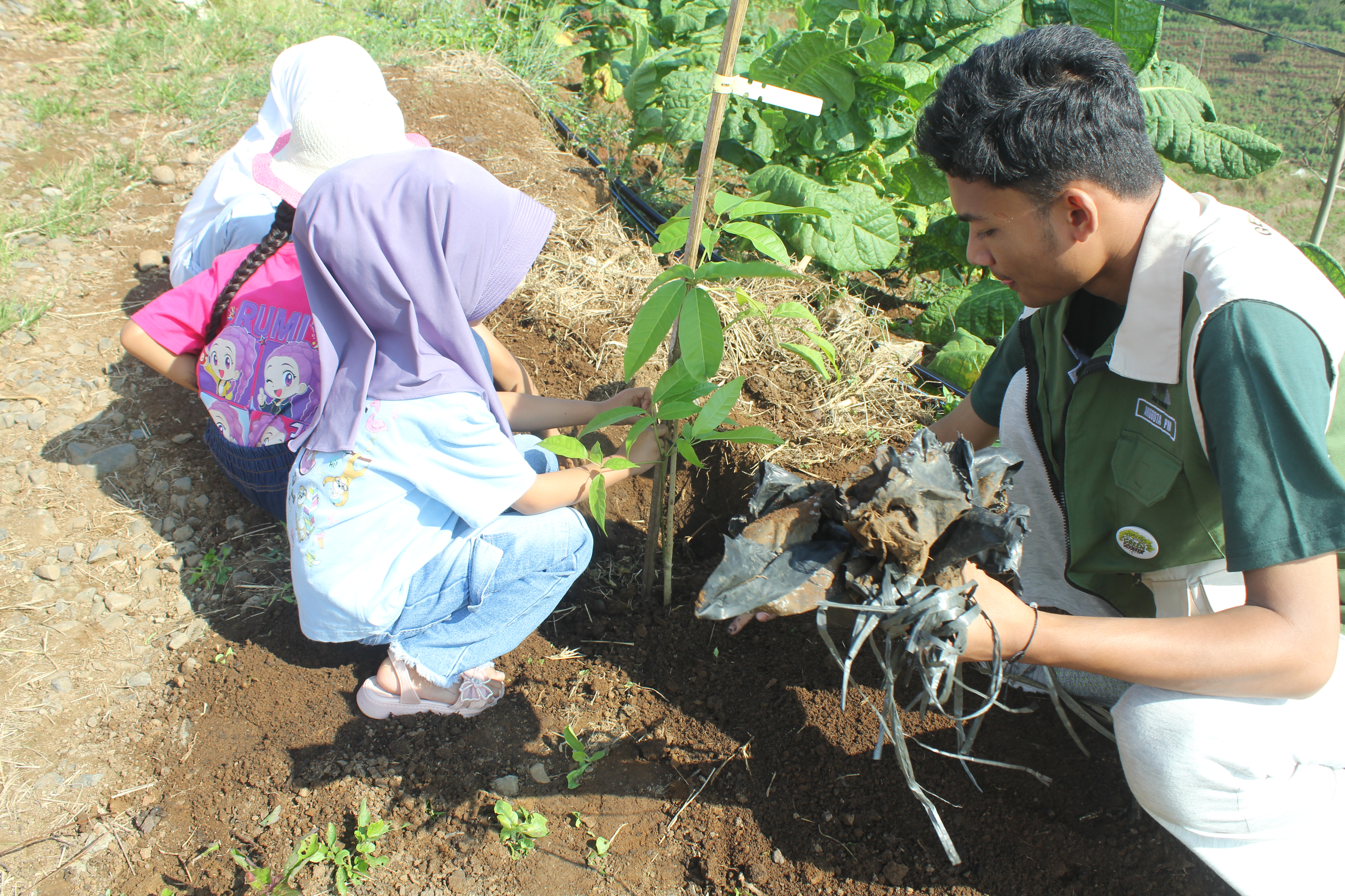 Program desa
