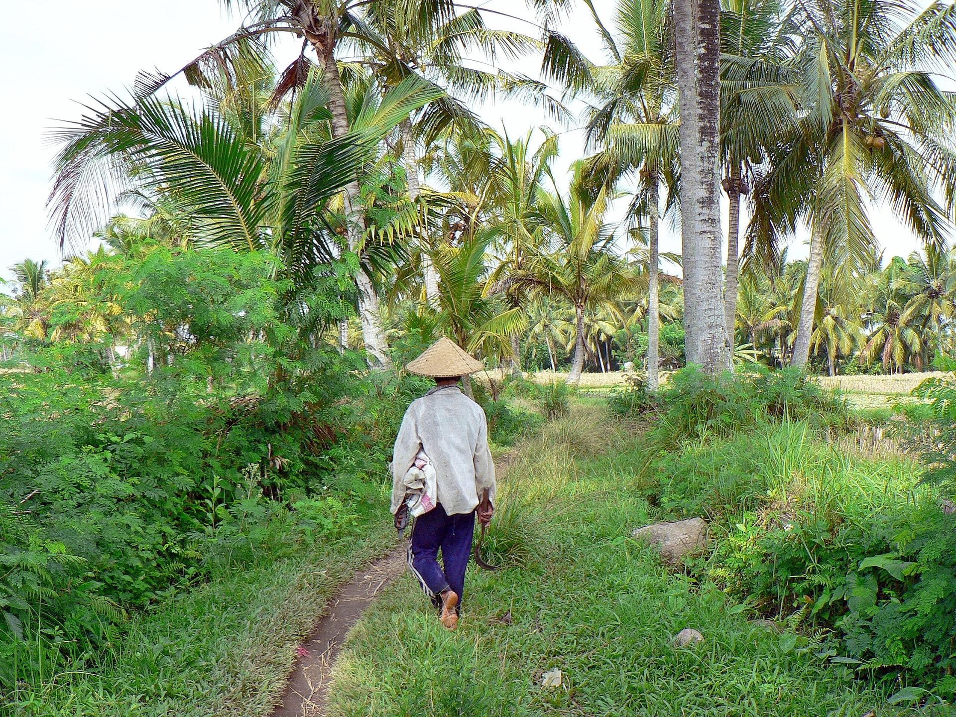 Pemandangan Desa 6