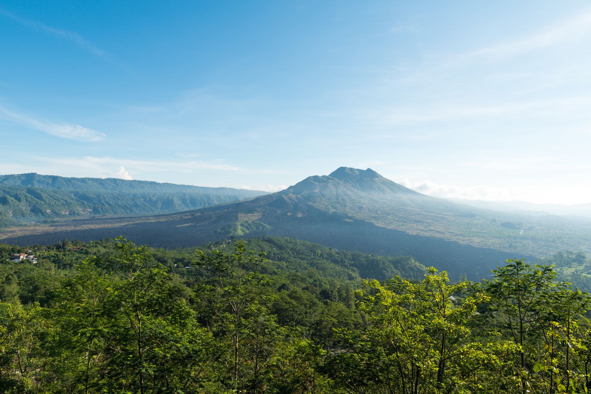 Mahasiswa KKN UGM Tanam Ratusan Pohon di Bukit Pengusen, Dorong Pemulihan Wisata